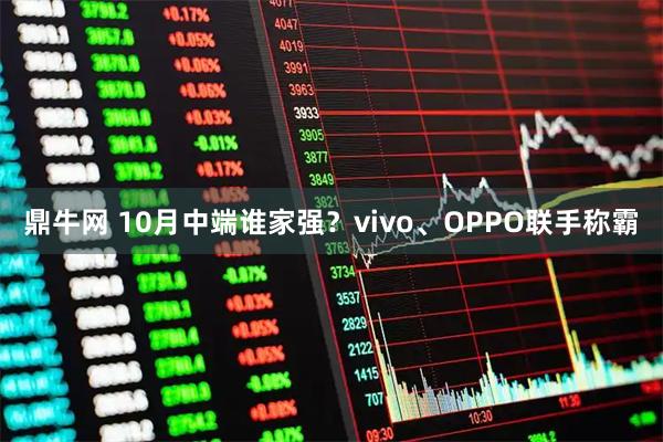 鼎牛网 10月中端谁家强？vivo、OPPO联手称霸