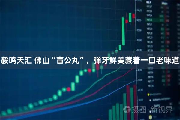 毅鸣天汇 佛山“盲公丸”，弹牙鲜美藏着一口老味道